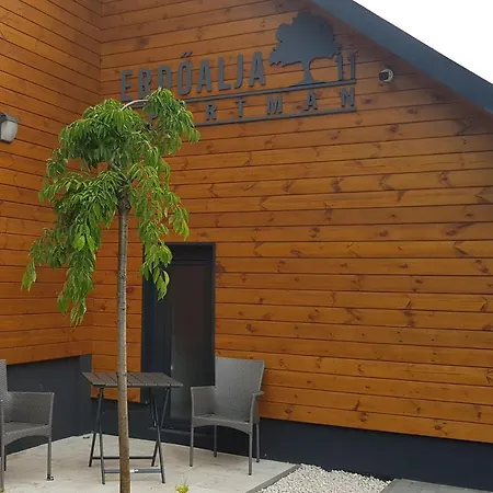 Erdoalja 11 Apartament Nyíregyháza