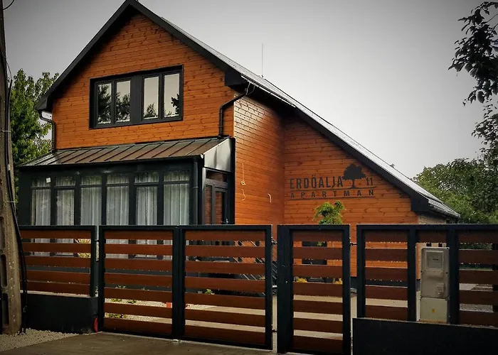 Erdoalja 11 アパート